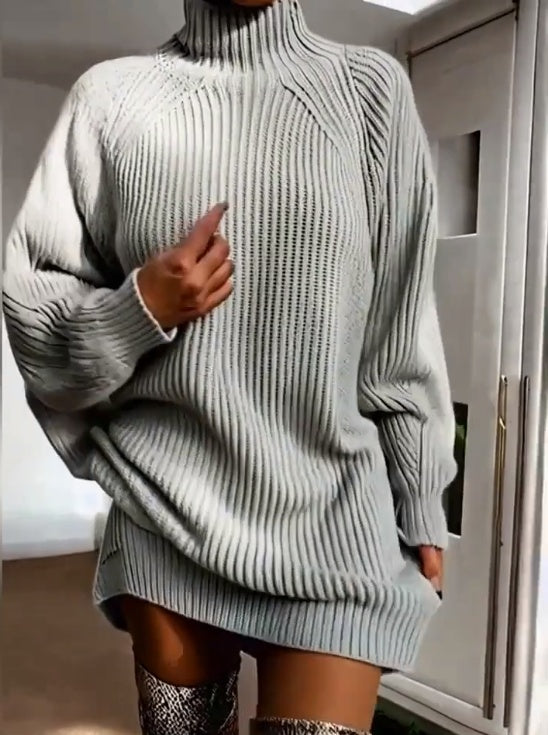 Plus Size Women's High Neck Casual Dress